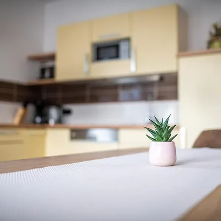 Elinas Mountain Views